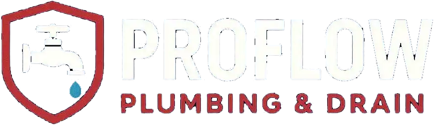 ProFlow Logo
